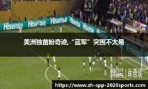 2028体育APP